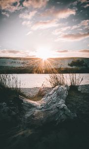 Preview wallpaper driftwood, sun, rays, lake, horizon