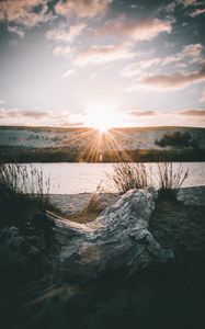 Preview wallpaper driftwood, sun, rays, lake, horizon