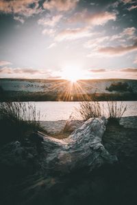 Preview wallpaper driftwood, sun, rays, lake, horizon