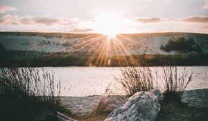 Preview wallpaper driftwood, sun, rays, lake, horizon