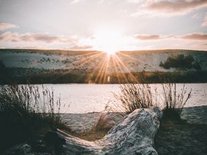 Preview wallpaper driftwood, sun, rays, lake, horizon