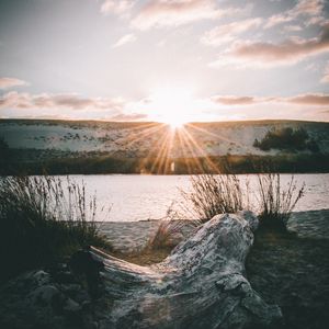 Preview wallpaper driftwood, sun, rays, lake, horizon