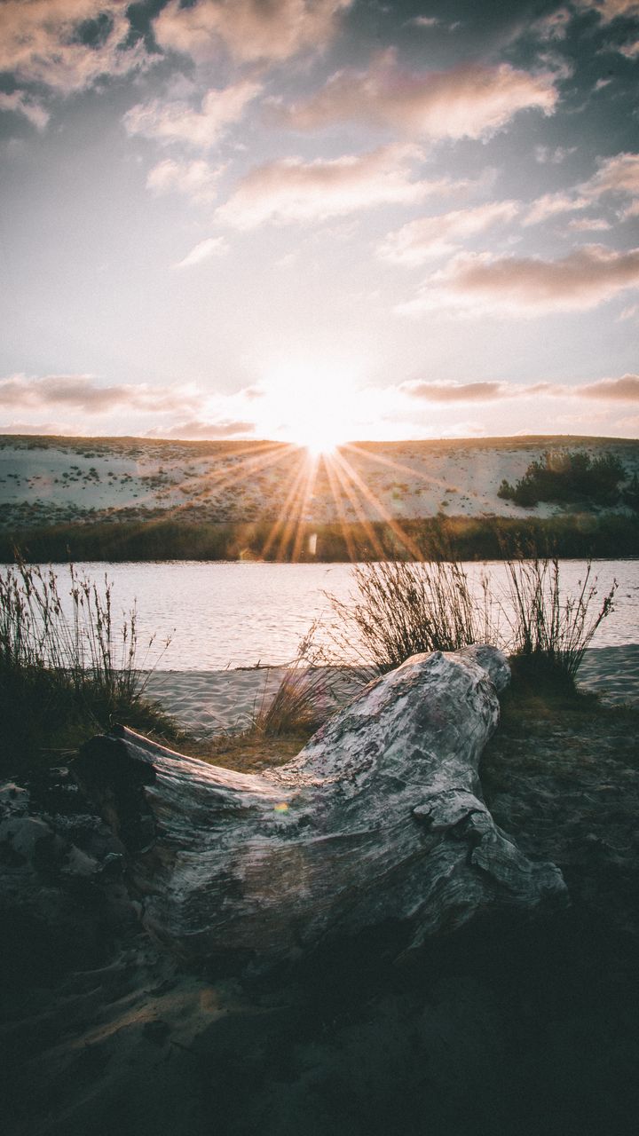 720x1280 Wallpaper driftwood, sun, rays, lake, horizon