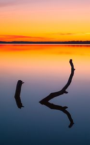 Preview wallpaper driftwood, water, sunset, horizon, gradient