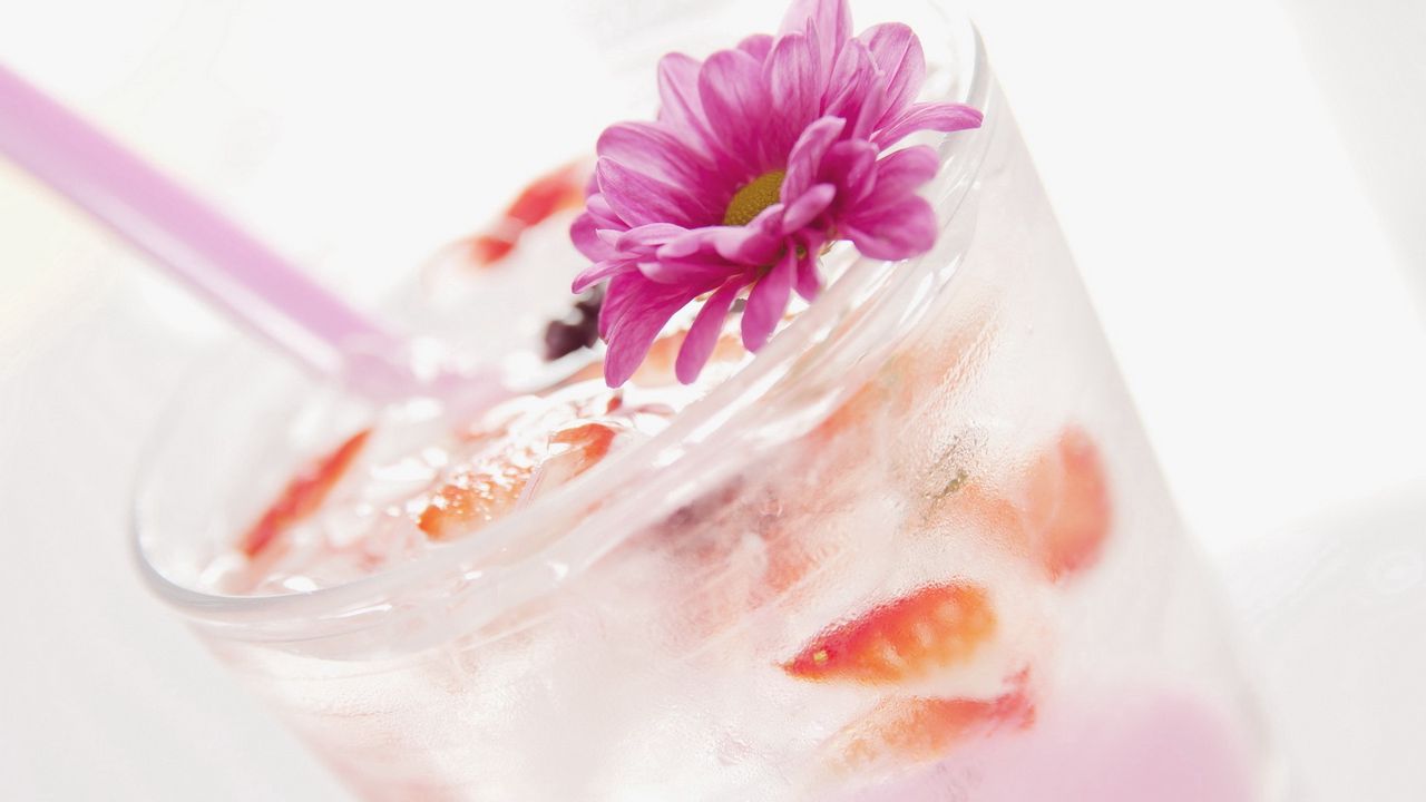 Wallpaper drink, cocktail, ice, flower, ornament