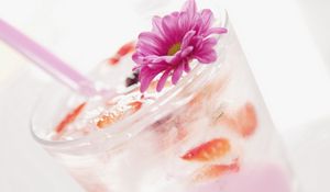 Preview wallpaper drink, cocktail, ice, flower, ornament