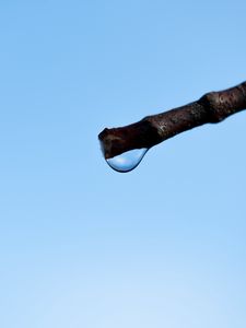 Preview wallpaper drop, branch, macro, minimalism