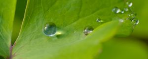 Preview wallpaper drop, dew, water, leaf, macro, glare