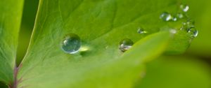 Preview wallpaper drop, dew, water, leaf, macro, glare