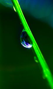 Preview wallpaper drop, grass, macro, green, blur