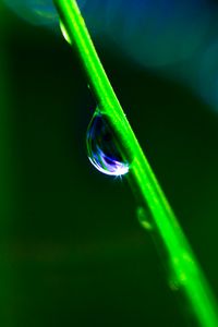 Preview wallpaper drop, grass, macro, green, blur