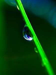 Preview wallpaper drop, grass, macro, green, blur