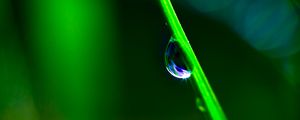 Preview wallpaper drop, grass, macro, green, blur