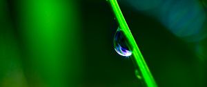 Preview wallpaper drop, grass, macro, green, blur