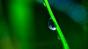 Preview wallpaper drop, grass, macro, green, blur