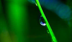 Preview wallpaper drop, grass, macro, green, blur