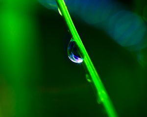 Preview wallpaper drop, grass, macro, green, blur