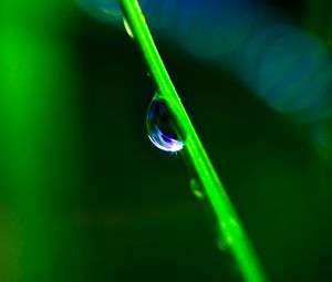 Preview wallpaper drop, grass, macro, green, blur