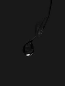 Preview wallpaper drop, macro, branch, bw