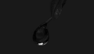 Preview wallpaper drop, macro, branch, bw