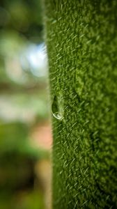 Preview wallpaper drop, macro, grass, green