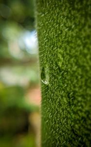 Preview wallpaper drop, macro, grass, green