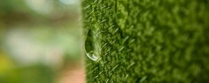 Preview wallpaper drop, macro, grass, green