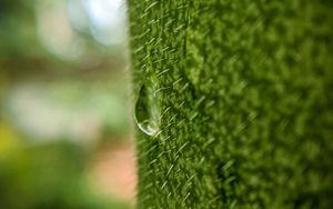 Preview wallpaper drop, macro, grass, green