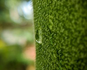 Preview wallpaper drop, macro, grass, green