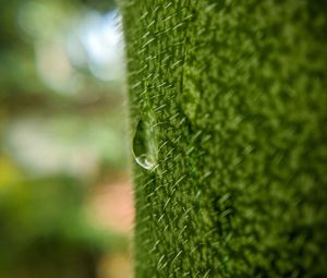 Preview wallpaper drop, macro, grass, green