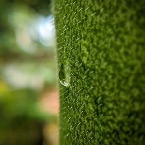 Preview wallpaper drop, macro, grass, green