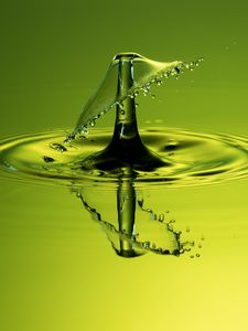 Preview wallpaper drop, splash, macro, liquid, green