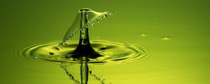 Preview wallpaper drop, splash, macro, liquid, green