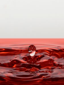 Preview wallpaper drop, splash, macro, liquid, red