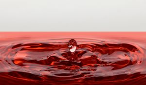 Preview wallpaper drop, splash, macro, liquid, red