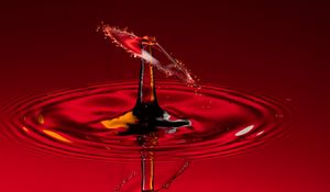 Preview wallpaper drop, splash, macro, red, liquid