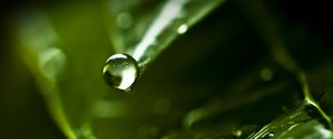 Preview wallpaper drop, water, dew, leaf, macro