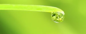 Preview wallpaper drop, water, leaf, macro, green