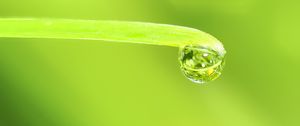 Preview wallpaper drop, water, leaf, macro, green