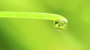 Preview wallpaper drop, water, leaf, macro, green