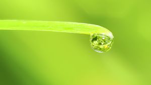 Preview wallpaper drop, water, leaf, macro, green