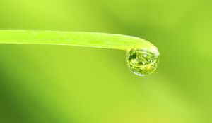 Preview wallpaper drop, water, leaf, macro, green