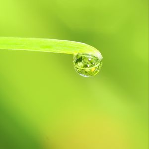 Preview wallpaper drop, water, leaf, macro, green