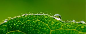 Preview wallpaper drop, water, leaf, green, macro, background