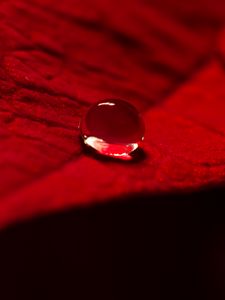 Preview wallpaper drop, water, leaf, macro, red