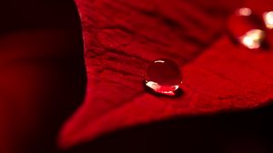 Preview wallpaper drop, water, leaf, macro, red