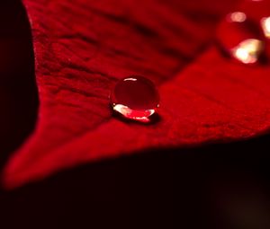 Preview wallpaper drop, water, leaf, macro, red