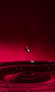 Preview wallpaper drop, water, liquid, macro, red