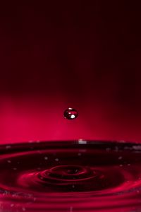 Preview wallpaper drop, water, liquid, macro, red