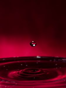 Preview wallpaper drop, water, liquid, macro, red